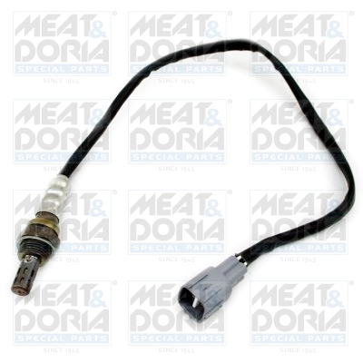 Oxygen Sensor